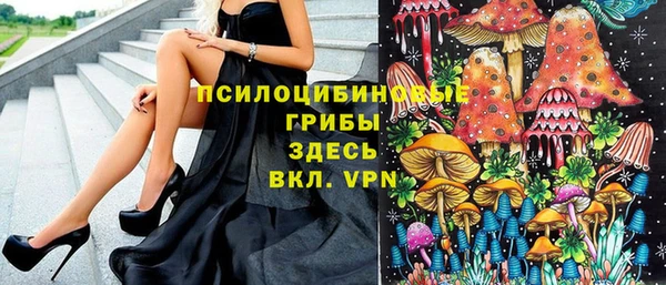 а пвп мука Бородино